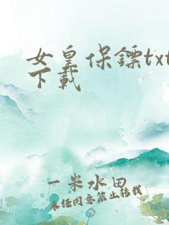 女皇保镖txt下载