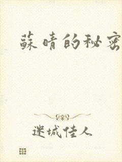 苏晴的秘密小说