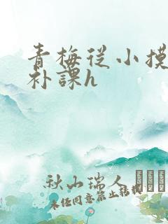 青梅从小摸到大补课h