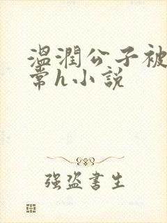 温润公子被脔日常h小说