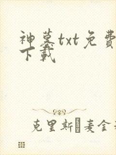 神墓txt免费下载
