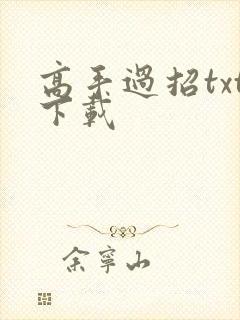 高手过招txt下载