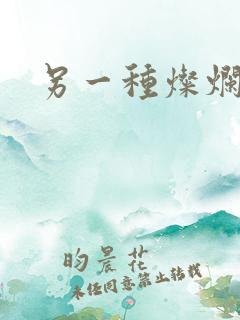 另一种灿烂生活