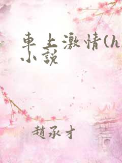 车上激情(h)小说