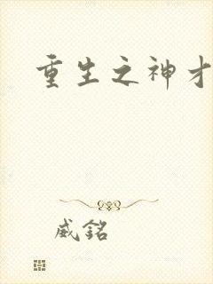 重生之神才风流