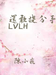 还敢提分手吗嗯LVLH