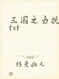三国之力挽狂澜txt
