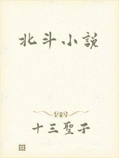 北斗小说