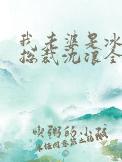 我老婆是冰山女总裁沈浪全集