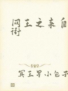 网王之来自流星街