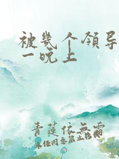 被几个领导玩弄一晚上