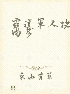 霸道军人攻现代肉多