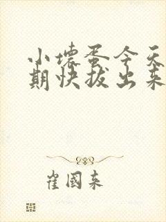 小坏蛋今天危险期快拔出来