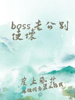 boss老公别使坏
