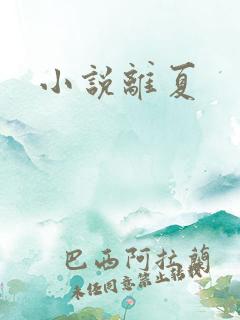 小说离夏