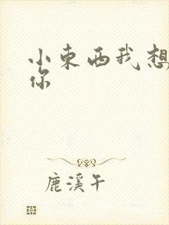 小东西我想弄坏你