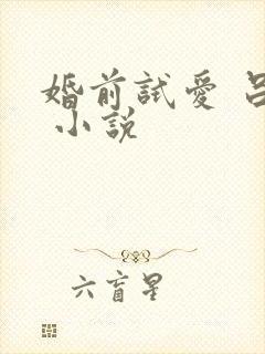 婚前试爱 吕颜 小说