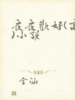 夜夜欢好(高h)小说