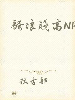 骚浪贱高NPH