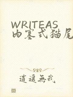 WRITEAS内塞式猫尾