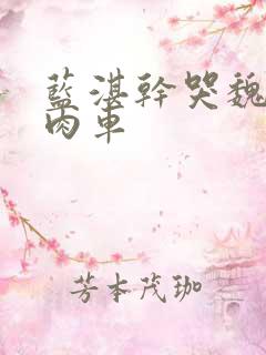 蓝湛干哭魏无羡肉车