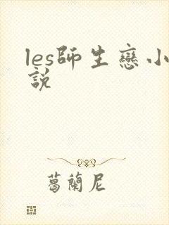 les师生恋小说