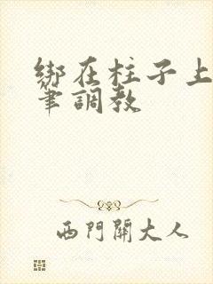 绑在柱子上用毛笔调教