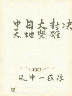 中日大对决  天地双雄