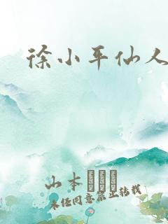 徐小平仙人指路