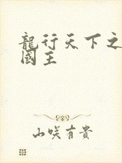 龙行天下之真假国主