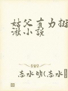 姑父有力挺送徐湫小说