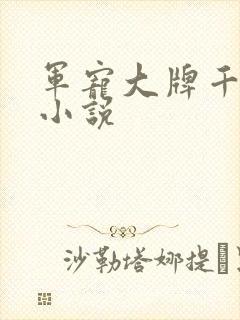 军宠大牌千金 小说