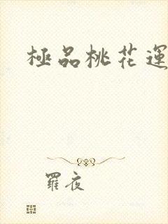 极品桃花运下载