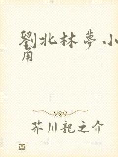 刘北林梦小说主角