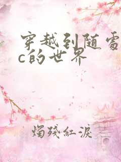 穿越到随处可以c的世界