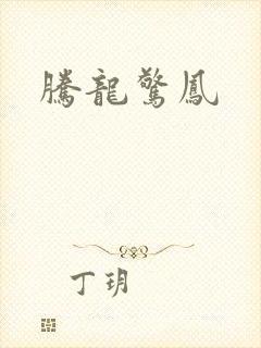 腾龙惊凤