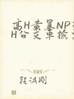高H黄暴NP辣H公交车检票员