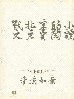 战北寒的小说全文免费阅读无弹窗