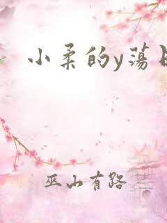 小柔的y荡日记
