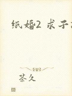 纸婚2 求子记