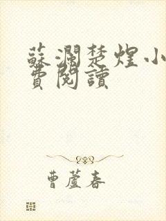 苏澜楚煜小说免费阅读