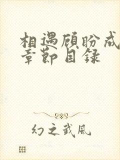 相遇顾盼成欢全章节目录