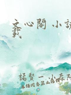 文心阁 小说连载