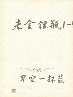 老金银瓶1-5