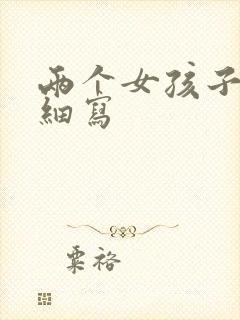 两个女孩子开车细写