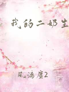 我的二奶生涯