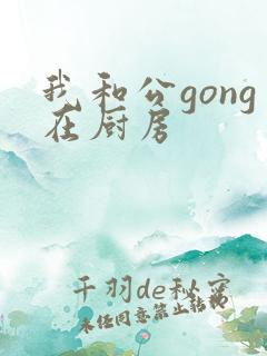 我和公gong在厨房