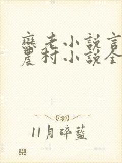 恋老小说言情网农村小说全文阅读