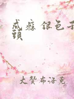 成瘾 银色子弹头