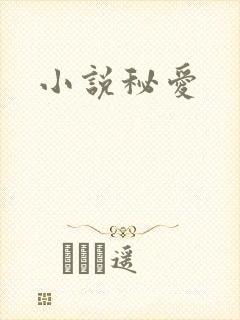 小说秘爱